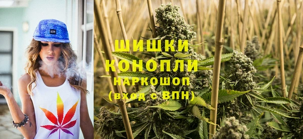 гашик Вязьма