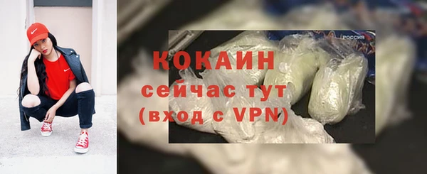 бошки Горнозаводск