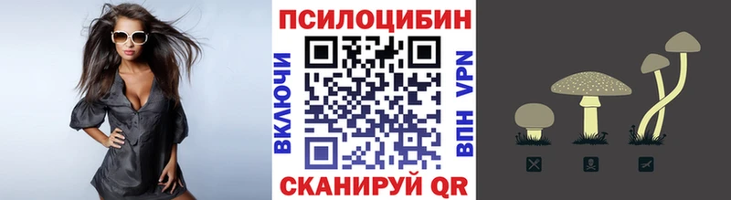 Псилоцибиновые грибы Magic Shrooms  где продают наркотики  кракен ONION  Грязи 