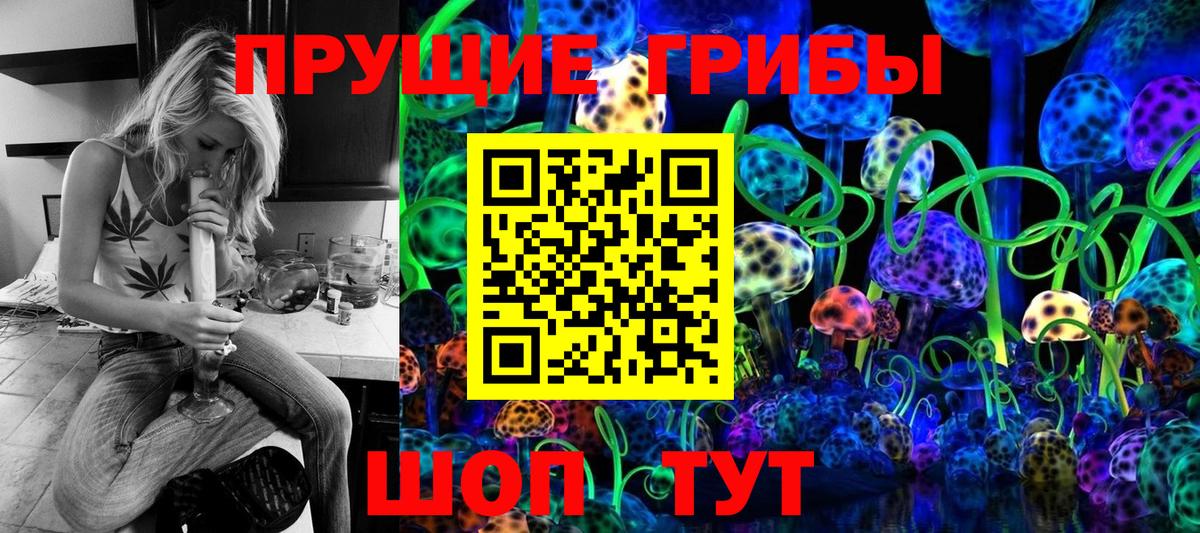 Псилоцибиновые грибы мухоморы  хочу   Вход с VPN  Грязи  Псилоцибиновые грибы Cubensis 