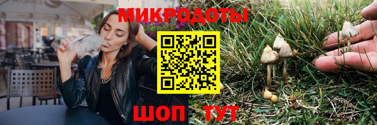 Псилоцибиновые грибы GOLDEN TEACHER Грязи